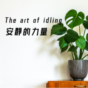 如何拥抱安静的力量 Embrace the art of idling-英音阅读Vol.9