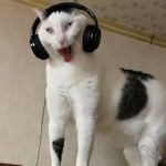 哼哼收音机