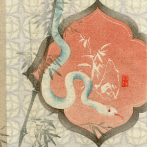 蛇年说蛇「以柔化刚 无畏重生」