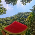 张开环抱