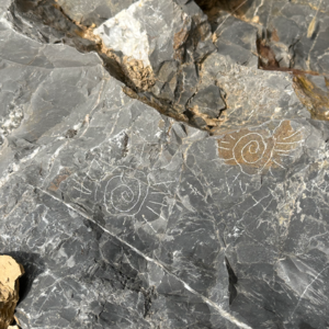 水晶真的有用吗？——细谈矿物能量场与使用指南