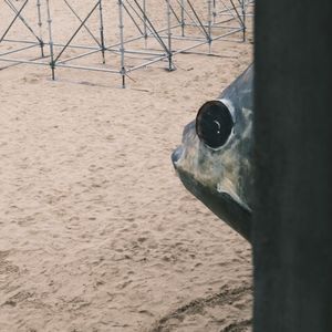 过刊031：接近真相的十万个怎么办