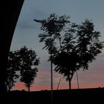 _椒盐皮皮夏