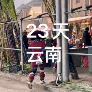 37-云南|23天,我们从西双版纳开到了芒市