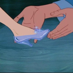 D.水晶鞋王子受难记。