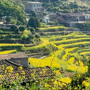 寒窑赋 吕蒙正（北宋）