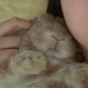 超低能量日也有新鲜事 📅 Sep.17