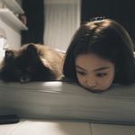 天降小狗