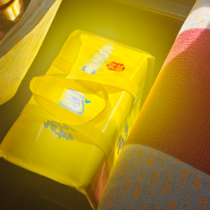 58.源源子家奇闻趣谈·我调查我自己出轨？！