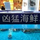 生猛海鲜_lQRk