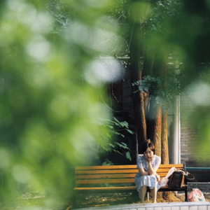 Vol.38 树影迷宫｜想二刷