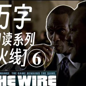 ⑥"最伟大美剧"[火线]the wire万字细读