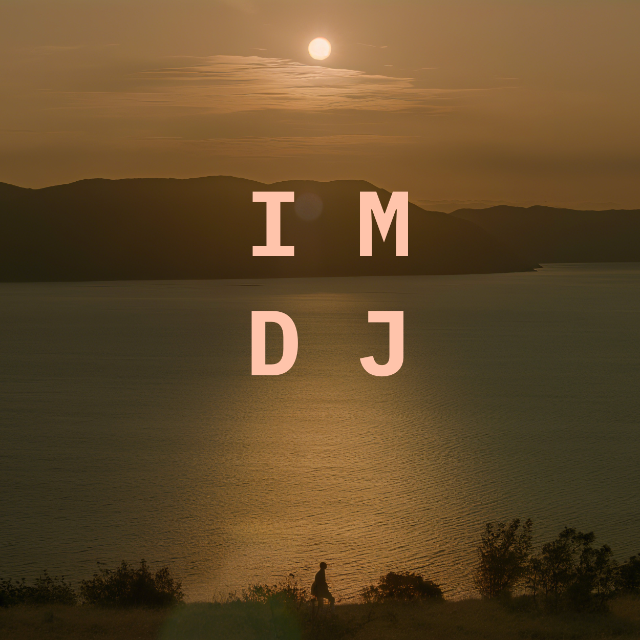 新博客 IMDJ E2502,串联音乐,欢迎轻松订阅