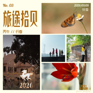 VOL.3 丙午行春，旅途拾贝