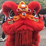 虎头哈基咪