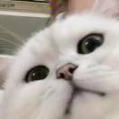 反马斯洛需求人类