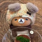 小飞打瞌睡