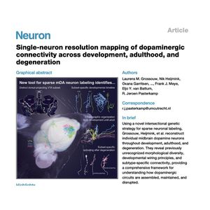 1528-Dopaminergic Acorss Development to Degeneration