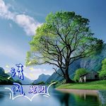 清风览阅