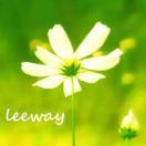 Leeway微