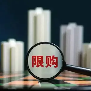 Vol.129 【中国房地产往事】给疯狂按下暂停键