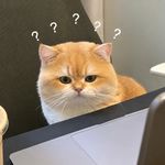 五位佳人皆不得近吾身也