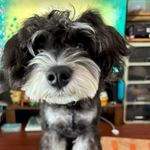 敏杰不敏捷