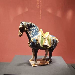 【No.27】最值一去的博物馆，总有一个让你大开眼界