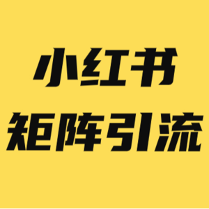 复盘:日引流300-800人,我是怎么用 AI + 小红书矩阵号做到的?