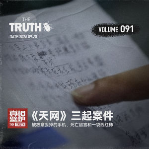 91 被故意丢掉的手机、死亡留言和一袋西红柿，《天网》三起案件
