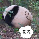 今天背诵了吗