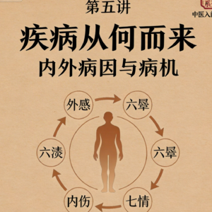 第五讲：疾病从何而来——内外病因与病机