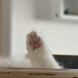 塔罗师生活里的玄学应用