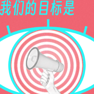 我们的目标是