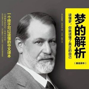 据说是《梦的解析》最佳译版