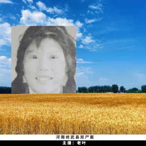 6. 河南修武县双尸案 | 追凶25年，DNA 铁证让 "逍遥法外者" 无所遁形