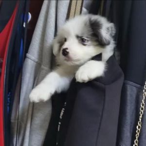 罐罐罐罐罐罐罐罐罐罐