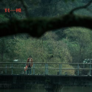 EP8.岑三姐告状-82沈阳英守村电鼠板杀人案