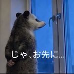 胡椒子