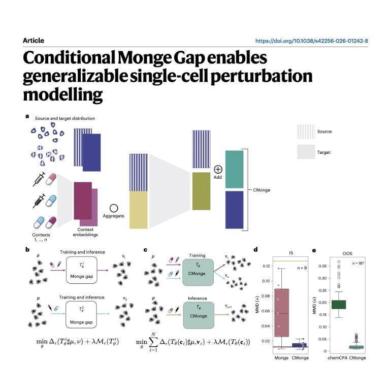 1298-Conditional Gap for Single-Cell Perturbation Modelling episode artwork