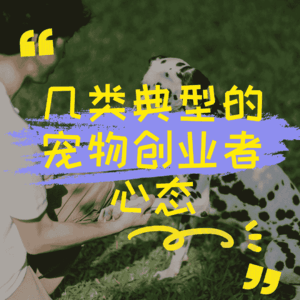 几类典型的宠物创业者心态