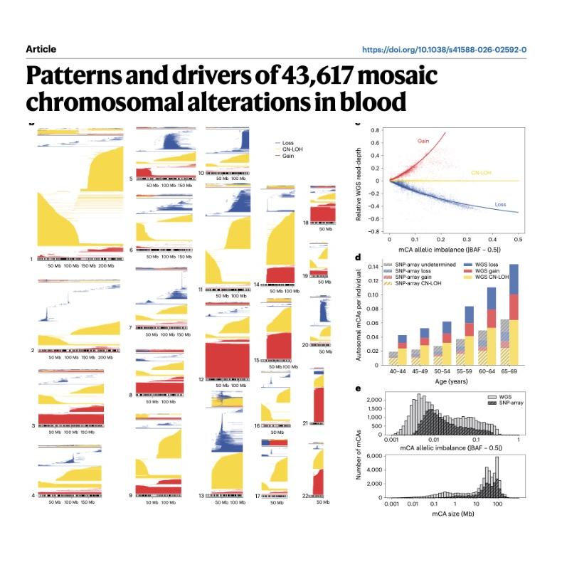 1097-Mosaic Chromosomal Alterations in Aging Blood Genome episode artwork
