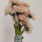 为什么我总喜欢在床上躺着