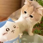 漠染