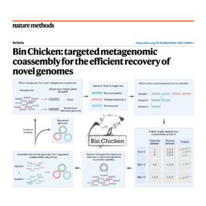 375-Bin Chicken: for Novel Genome Recovery