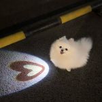世界就是角落
