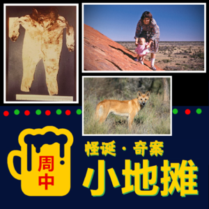 【澳洲】80年代「暗夜哭声」法医学奇案，婴儿野外失踪后举国震惊，极具争议性的案件