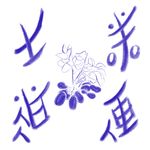 土豆8号