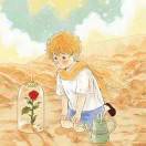 花椒吃猫啦