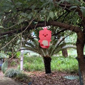 带着梅雨季的水汽穿梭前行